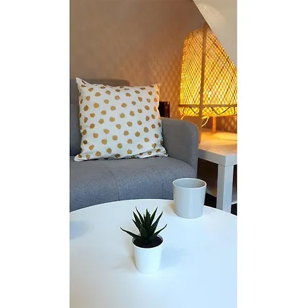 Duplex - Jardin - Tramway - Hôpitaux - Tv - Wifi