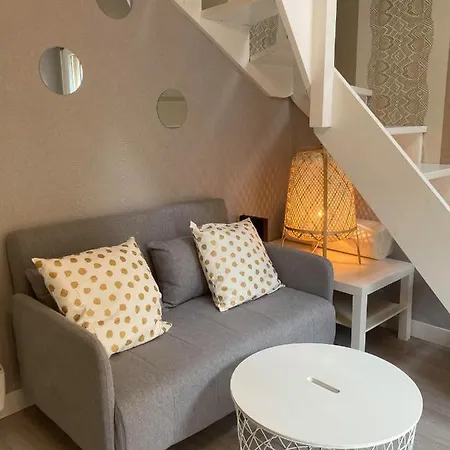 Duplex - Jardin - Tramway - Hopitaux - Tv - Wifi Апартаменты *